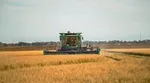 A combine harvester harvesting in a field